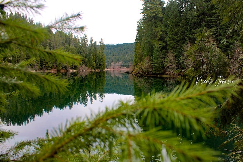 Lake in the middle of the woods with a crystal clear reflection.